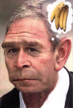 8130~George-W-Bush-Monkey-Posters