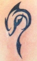 dolphin-tattoos